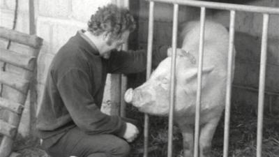 Pig farmer Adam Deane strokes one of his pigs in it's enclosure