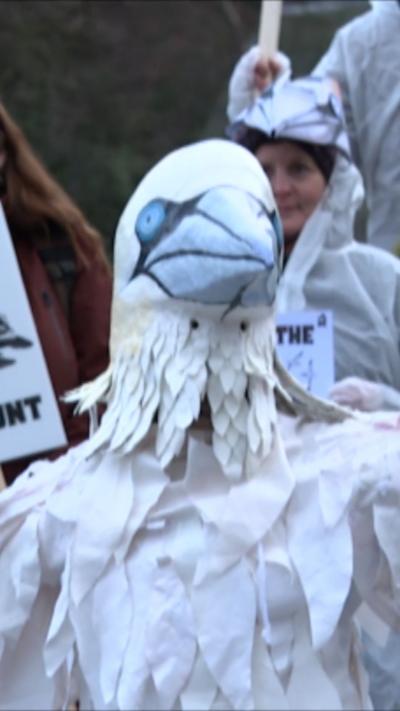 Neach-togail-fianais air an sgeadachadh mar ghuga