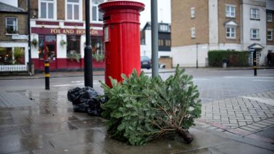 Abandoned christmas tree