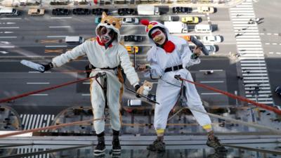 Window cleaners dressed as a dog and rooster