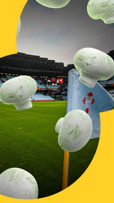 Fungal infection La Liga