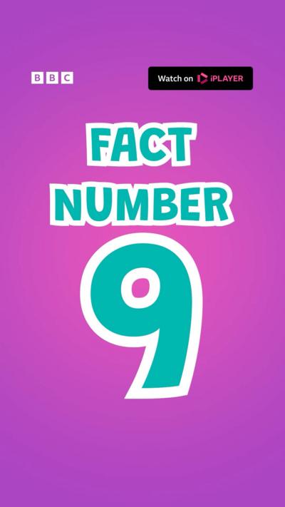 Fact Number 9