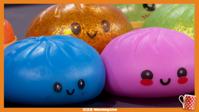 Squishy toys on display in the Morning Live studio
