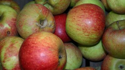 Apples for sale at Spitalfields Market, London