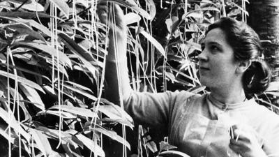 A woman pretending to grab some spaghetti from a tree