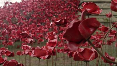 Poppies exhibition