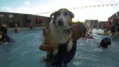 A dog being held in the lido