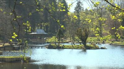 Cowden Castle's Japanese garden