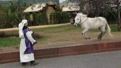 Pony and man dressed in biblical costume