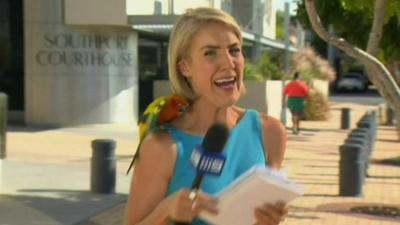 Lola the parrot makes a surprise TV appearance.