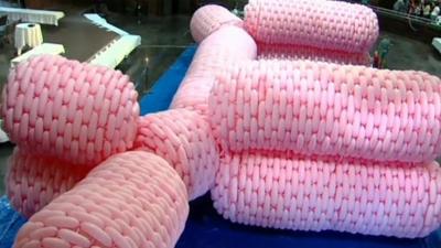 The record breaking balloon sculpture