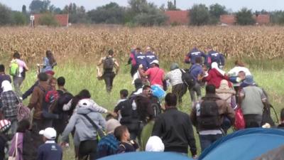 Migrants run into fields at Roszke