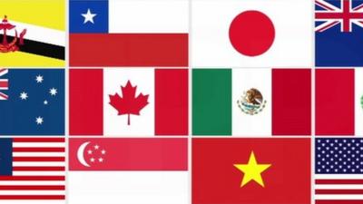 Flags of nations involved in the TPP