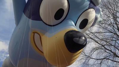 A huge inflated Bluey (a blue dog cartoon character) balloon