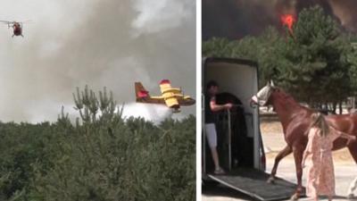 Composite image of a plane dropping water and a horse being loaded into a van, fire in the background
