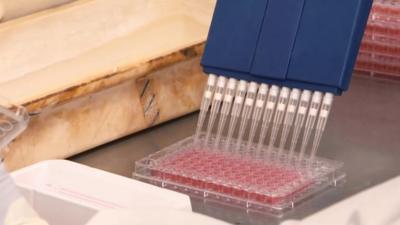 Laboratory testing