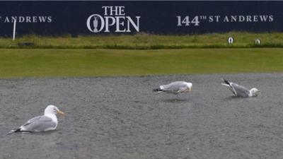 Weather for ducks (or seagulls)