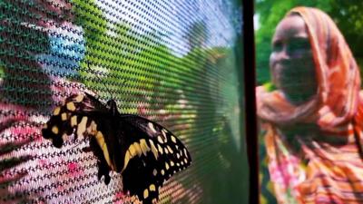 Swafiya Saidi and a butterfly