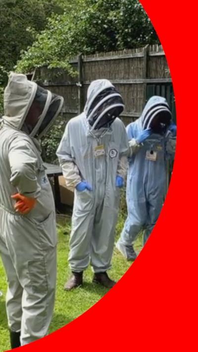 Figures in beekeeping suits, next to hives.