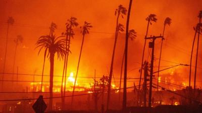 Palm trees set among a blazing orange skyline with houses on fire