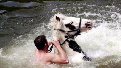 Gyspy man washing a horse