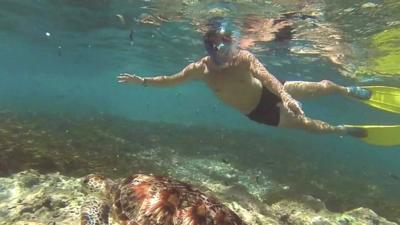 A tourist swimming in the coral reefs in the Seychelles