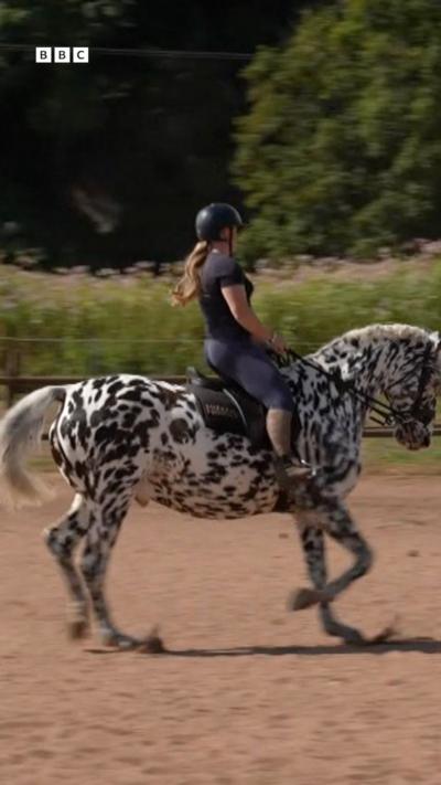 A white horse with grey spots being ridden by a woman in dark clothing