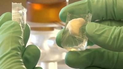 A person holding a bone which has been grown in a bioreactor