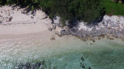 birds-eye-view-of-coral-reef