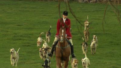 A hunter on horseback, with a pack of dogs