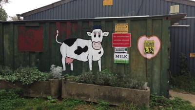 Cow picture on side of milk shed