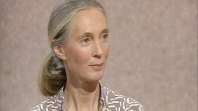 Jane Goodall