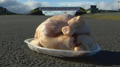 chicken at knockhill