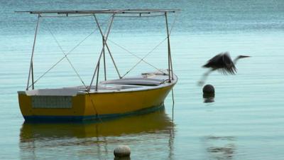 A boat in the Seychelles