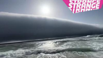 A giant cloud