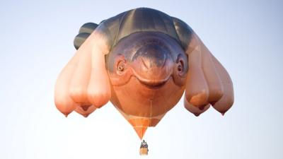 Skywhale hot air balloon