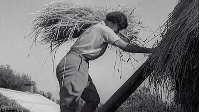 Land girls