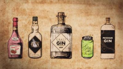 Illustration of different types of gin bottle