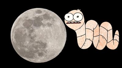 Moon and worm