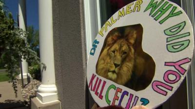 A placard of Cecil the lion