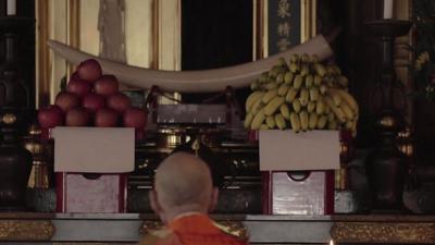 Monk praying to elephant tusk