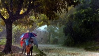 Women taking shelter from heavy rain under tree