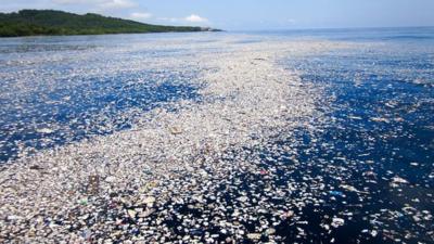 Caribbean floating plastic