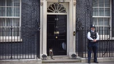 Larry the cat in front of No 10