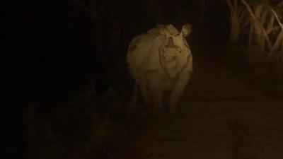 Justin Rowlatt goes on night patrol with the people ordered to shoot wild animal poachers.