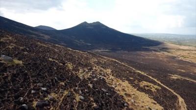 Almost 2,000 gorse fires have been tackled since April 2021, according to figures from the fire service.