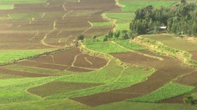 Fields in Ethiopia