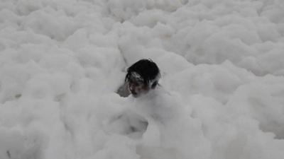 Child playing in foam on Chennai beach