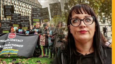 Protest at Westminster over family courts