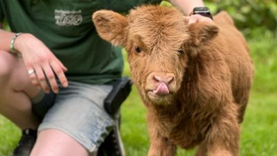 Dozer was born eight weeks prematurely and wasn't expected to survive.